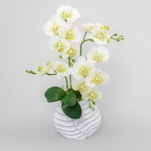 Phalenopsis artificial 50x70