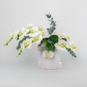 Phalenopsis artificial 50x70