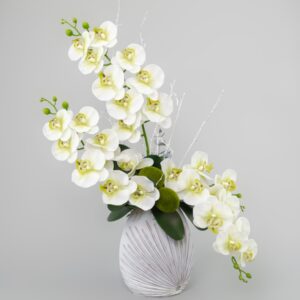 Phalenopsis artificial 70x60