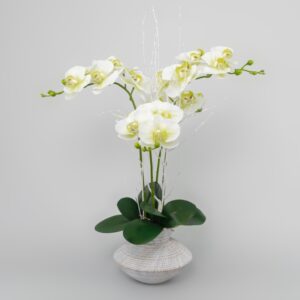 Phalenopsis artificial 50x70
